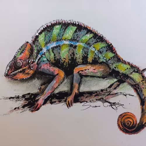 4288309145407295523431116215122397111529594114986911850026632792554736713928