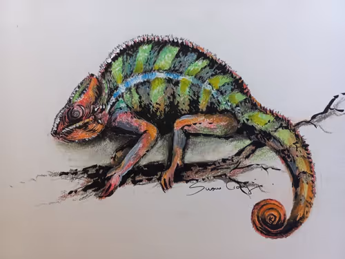 Item #4288309145407295523431116215122397111529594114986911850026632792554736713928 Media