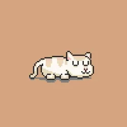 Wakeup Cat