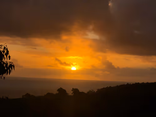 Item #111384347419130010131898734196272882001680551158239169533315207288879086305281 Media