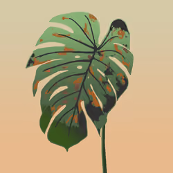 MONSTERA MOOD #048