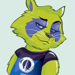 Raccoon-047