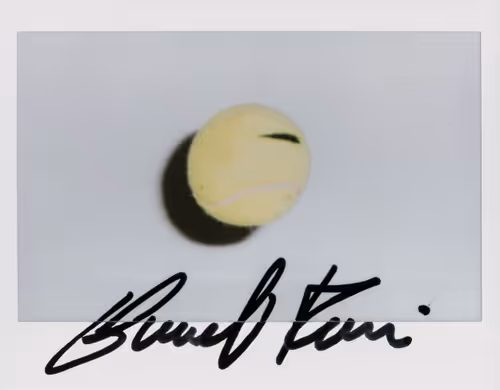 Item #8675165993673311167133932522460401919325379274043569756846793108777145991169 Media