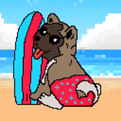 Surfer