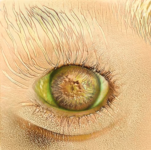 Item #73500473601639277492783536232978387069951164458626547516930003833345707868161 Media