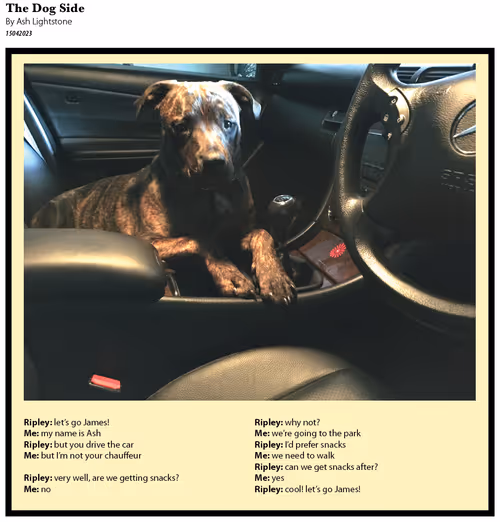 Item #626897290553149767847652691518108619534148298379556002124578603509512929285 Media