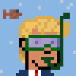 Mr Donald Trump - Donald Diver #16