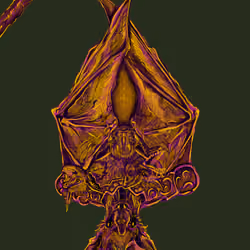 Bat King