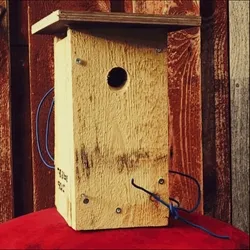 Birdhouse #16