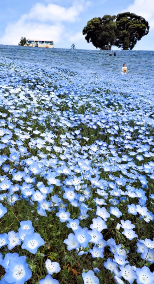 Item #42681016513473886367928798461546651982710033515694921359997072512705888256001 Media