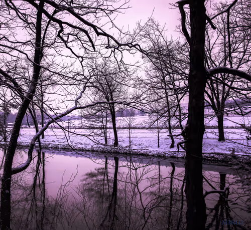 Item #53066580447893182690859255571300366451776015640198026771655436617121557118977 Media