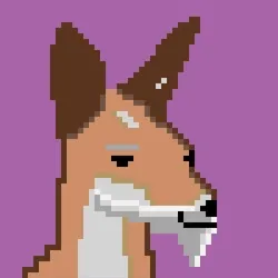 KangarooPunk #020
