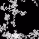 46443140435526123263349023868976142915031731050544552291035459350623774834689