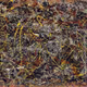 Untitled Collection #78667093