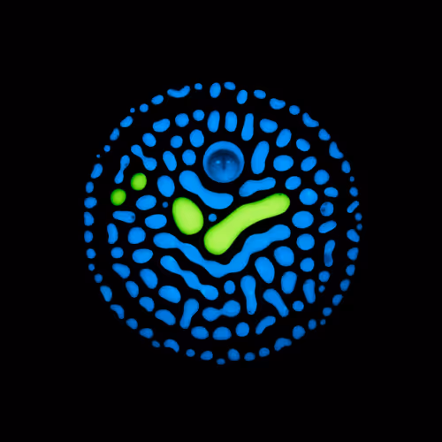Haematopoiesis