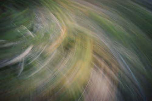 Item #38495668349306452240688866721683925223246116077147746545727998315064582996068 Media