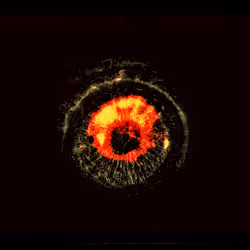 Eye #2