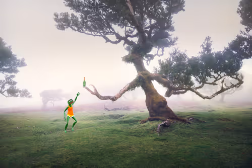 Item #75959814784190793324708169911984379127395736312846048783770068675684072423434 Media