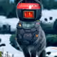 42417399115049392103746338277545177356927836810146739048751822828750636056577
