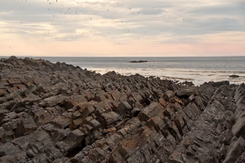 Item #74044223418963058719430139109127574928607342041478017501753412645626518175745 Media