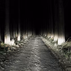 Wrong Turn