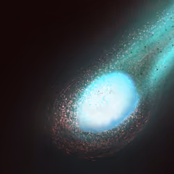 The Beginning of Life