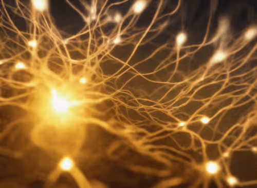 Item #98695163844141812296559601516468632585703412525772017875852753352821856796673 Media