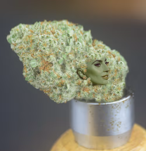 Item #31186953846776644916654461836537312819780745522330041199381679826104450285569 Media