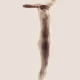 Naked Silhouette Alphabet - T