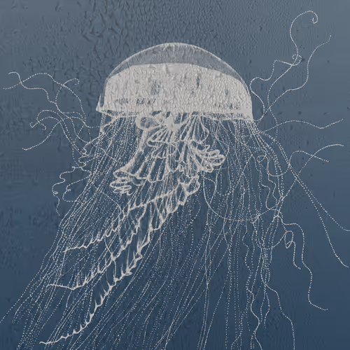 113233535435930126246803406212525192330824104616936385021501681234197874737153