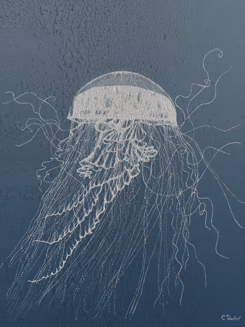 Item #113233535435930126246803406212525192330824104616936385021501681234197874737153 Media