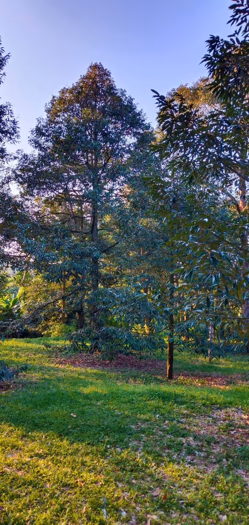 Item #5566384067146798522274074126497945060602670955557143766419118826396705619969 Media