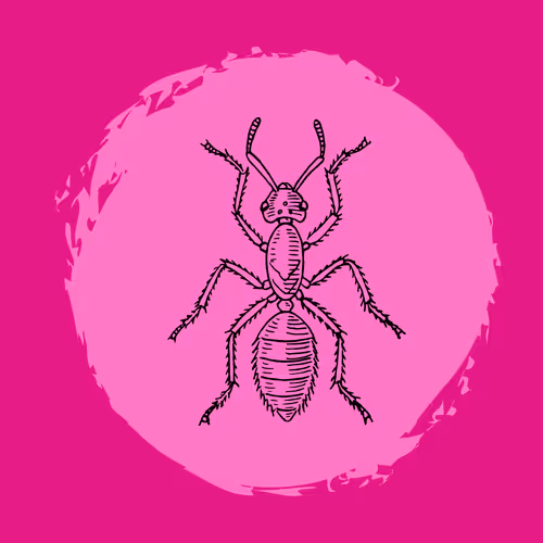 79067907305230177002014129353343413869651970885450883453575323031854896906241