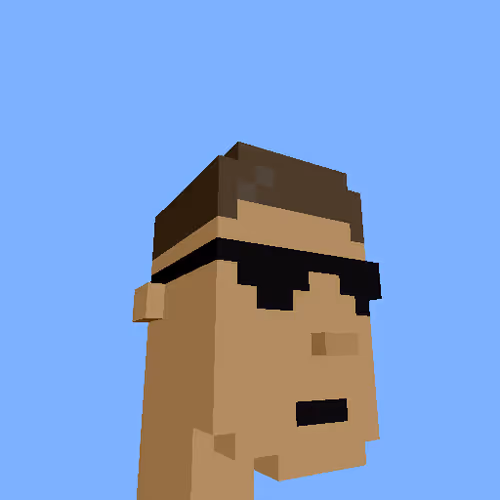 PunkVoxels #9238