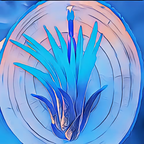 Item #8607677958191038044004830040679912821884152676576415147527513023366274482177 Media