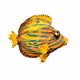 9229184775601453528234625013194060345910383497059709964001987444924785623050