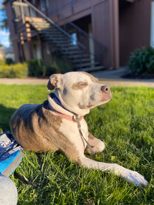 Item #31032485861556932047512782212507255574784711127847173487196557291815851524097 Media