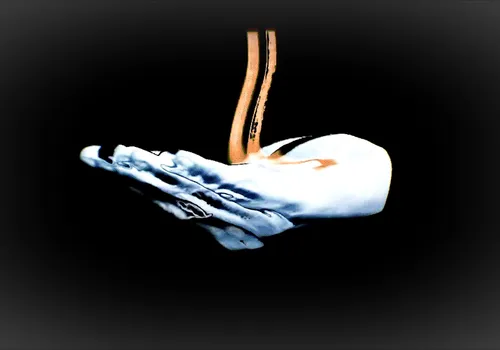 Item #95941858012805899136769413807277012417899091654818241301317036724665842663425 Media