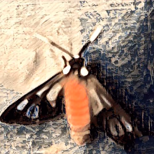 81269833061274051173789884418282317830923519221172308843662164482370584969217