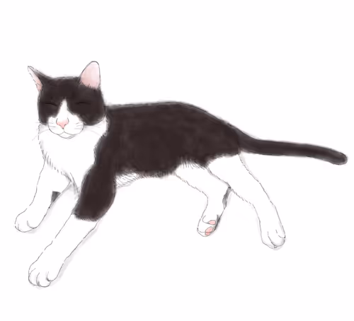 Item #88912006963582381310451963134509440607439654683692657679525733429017306988545 Media