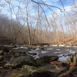 Ridley Creek #9