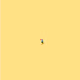 65438623635695661628240666223267636916163863015905990180124395796654672838657