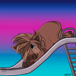 68853164198760674356626576306289177285620337495724028434359731847048495890433