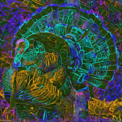 Turkey34