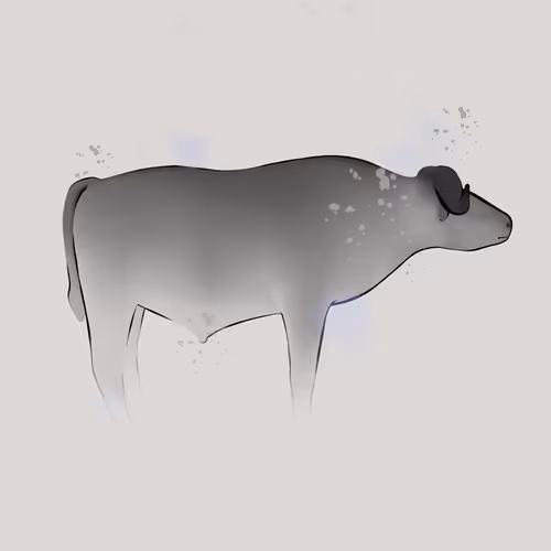 Item #69138463628055130752926986854805628699680031496795916797807466076565279866881 Media