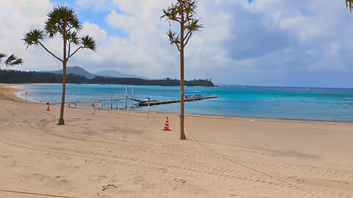 Item #84029125642455646751627882964449646871643598257410714142822988236507744043009 Media