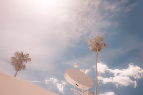 Item #83671235282096618874006211030769624201021443299440861014428720483813247942657 Media