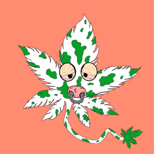 _Vergelius Collection