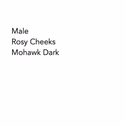 97591969572844355236941100606716987924234228679178630076446421510190706720769