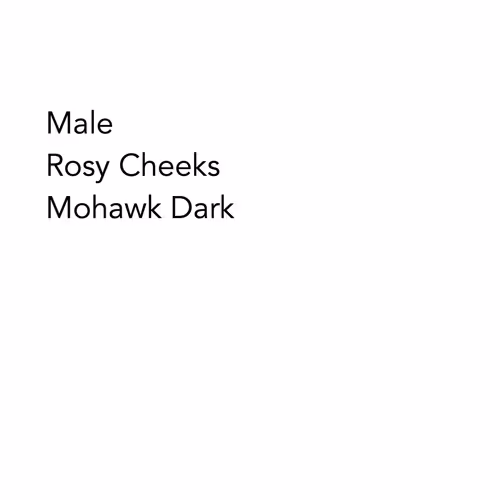 97591969572844355236941100606716987924234228679178630076446421510190706720769